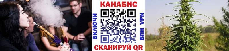 Канабис сатива Сычёвка